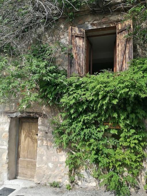 La Maison De La Vigne Bauduen Luaran gambar